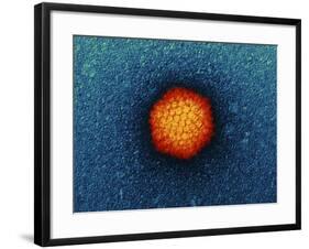 Adenovirus Particle, TEM-Dr. Klaus Boller-Framed Photographic Print