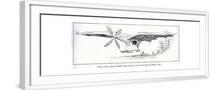 White Frame