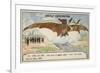 Ader Making a Successful Flight in His Flying Machine Avion, Camp De Satory, France, 1898-null-Framed Giclee Print