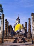 Statue of the Buddha with Religious Offerings, Wat Mahathat, Sukothai, Thailand-Adina Tovy-Photographic Print
