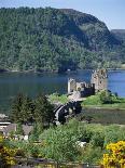 Urquhart Castle, Loch Ness, Scotland, United Kingdom-Adina Tovy-Photographic Print