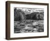 Adirondack Beauty In Black And White-Steven Maxx-Framed Photographic Print