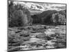 Adirondack Beauty In Black And White-Steven Maxx-Mounted Photographic Print