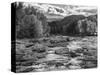 Adirondack Beauty In Black And White-Steven Maxx-Stretched Canvas