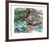 Adirondack Bobcat-Everett Hibbard-Framed Limited Edition