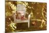 Adirondack Chair and Book on a Summer Day-soupstock-Mounted Photographic Print