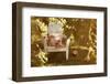 Adirondack Chair and Book on a Summer Day-soupstock-Framed Photographic Print