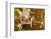 Adirondack Chair and Book on a Summer Day-soupstock-Framed Photographic Print