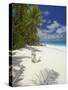 Adirondack Chair and Tropical Beach, Seychelles, Indian Ocean, Africa-Sakis Papadopoulos-Stretched Canvas