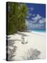 Adirondack Chair and Tropical Beach, Seychelles, Indian Ocean, Africa-Sakis Papadopoulos-Stretched Canvas