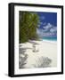 Adirondack Chair and Tropical Beach, Seychelles, Indian Ocean, Africa-Sakis Papadopoulos-Framed Photographic Print