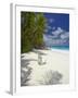 Adirondack Chair and Tropical Beach, Seychelles, Indian Ocean, Africa-Sakis Papadopoulos-Framed Photographic Print