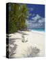 Adirondack Chair and Tropical Beach, Seychelles, Indian Ocean, Africa-Sakis Papadopoulos-Stretched Canvas