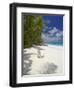 Adirondack Chair and Tropical Beach, Seychelles, Indian Ocean, Africa-Sakis Papadopoulos-Framed Photographic Print