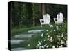 Adirondack Chairs, Marshfield, Massachusetts, USA-Lisa S^ Engelbrecht-Stretched Canvas