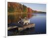 Adirondack Chairs on Dock at Lake-Ralph Morsch-Framed Photographic Print