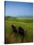 Adirondack Chairs on Lawn at Martha's Vineyard with Fog over Trees in the Distant View-James Shive-Stretched Canvas