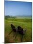 Adirondack Chairs on Lawn at Martha's Vineyard with Fog over Trees in the Distant View-James Shive-Mounted Photographic Print