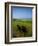 Adirondack Chairs on Lawn at Martha's Vineyard with Fog over Trees in the Distant View-James Shive-Framed Photographic Print