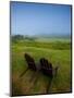 Adirondack Chairs on Lawn at Martha's Vineyard with Fog over Trees in the Distant View-James Shive-Mounted Photographic Print