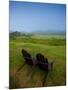 Adirondack Chairs on Lawn at Martha's Vineyard with Fog over Trees in the Distant View-James Shive-Mounted Photographic Print