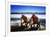 Adirondack Chairs on the Deck-George Oze-Framed Photographic Print