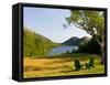 Adirondack Chairs on the Lawn of the Jordan Pond House, Acadia National Park, Mount Desert Island-Jerry & Marcy Monkman-Framed Stretched Canvas