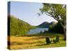 Adirondack Chairs on the Lawn of the Jordan Pond House, Acadia National Park, Mount Desert Island-Jerry & Marcy Monkman-Stretched Canvas