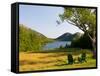 Adirondack Chairs on the Lawn of the Jordan Pond House, Acadia National Park, Mount Desert Island-Jerry & Marcy Monkman-Framed Stretched Canvas