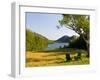 Adirondack Chairs on the Lawn of the Jordan Pond House, Acadia National Park, Mount Desert Island-Jerry & Marcy Monkman-Framed Photographic Print