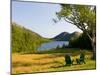 Adirondack Chairs on the Lawn of the Jordan Pond House, Acadia National Park, Mount Desert Island-Jerry & Marcy Monkman-Mounted Photographic Print