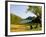 Adirondack Chairs on the Lawn of the Jordan Pond House, Acadia National Park, Mount Desert Island-Jerry & Marcy Monkman-Framed Photographic Print