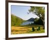 Adirondack Chairs on the Lawn of the Jordan Pond House, Acadia National Park, Mount Desert Island-Jerry & Marcy Monkman-Framed Photographic Print