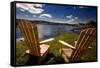 Adirondack Chairs Overlooking Booth Bay Harbor-George Oze-Framed Stretched Canvas