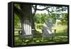 Adirondack Chairs Under A Tree Nature Photo Poster-null-Framed Stretched Canvas