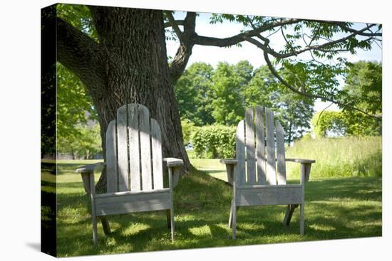 Adirondack Chairs Under A Tree Nature Photo Poster-null-Stretched Canvas