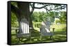 Adirondack Chairs Under A Tree Nature Photo Poster-null-Framed Stretched Canvas