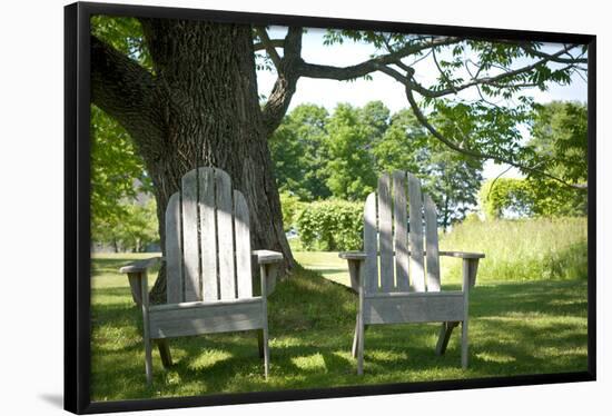 Adirondack Chairs Under A Tree Nature Photo Poster-null-Framed Poster