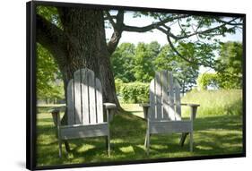 Adirondack Chairs Under A Tree Nature Photo Poster-null-Framed Poster