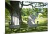 Adirondack Chairs Under A Tree Nature Photo Poster-null-Mounted Poster