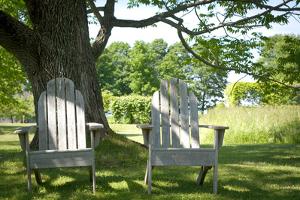 Adirondack Chairs Under A Tree Nature Photo Poster