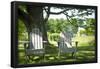 Adirondack Chairs Under A Tree Nature Photo Poster-null-Framed Poster