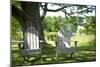 Adirondack Chairs Under A Tree Nature Photo Poster-null-Mounted Poster