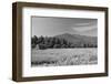 Adirondack Field-Erik Richards-Framed Art Print