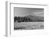 Adirondack Field-Erik Richards-Framed Art Print