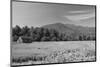 Adirondack Field-Erik Richards-Mounted Art Print