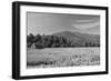 Adirondack Field-Erik Richards-Framed Art Print