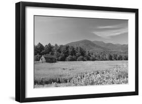 Adirondack Field-Erik Richards-Framed Art Print