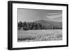 Adirondack Field-Erik Richards-Framed Giclee Print