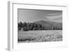 Adirondack Field-Erik Richards-Framed Giclee Print